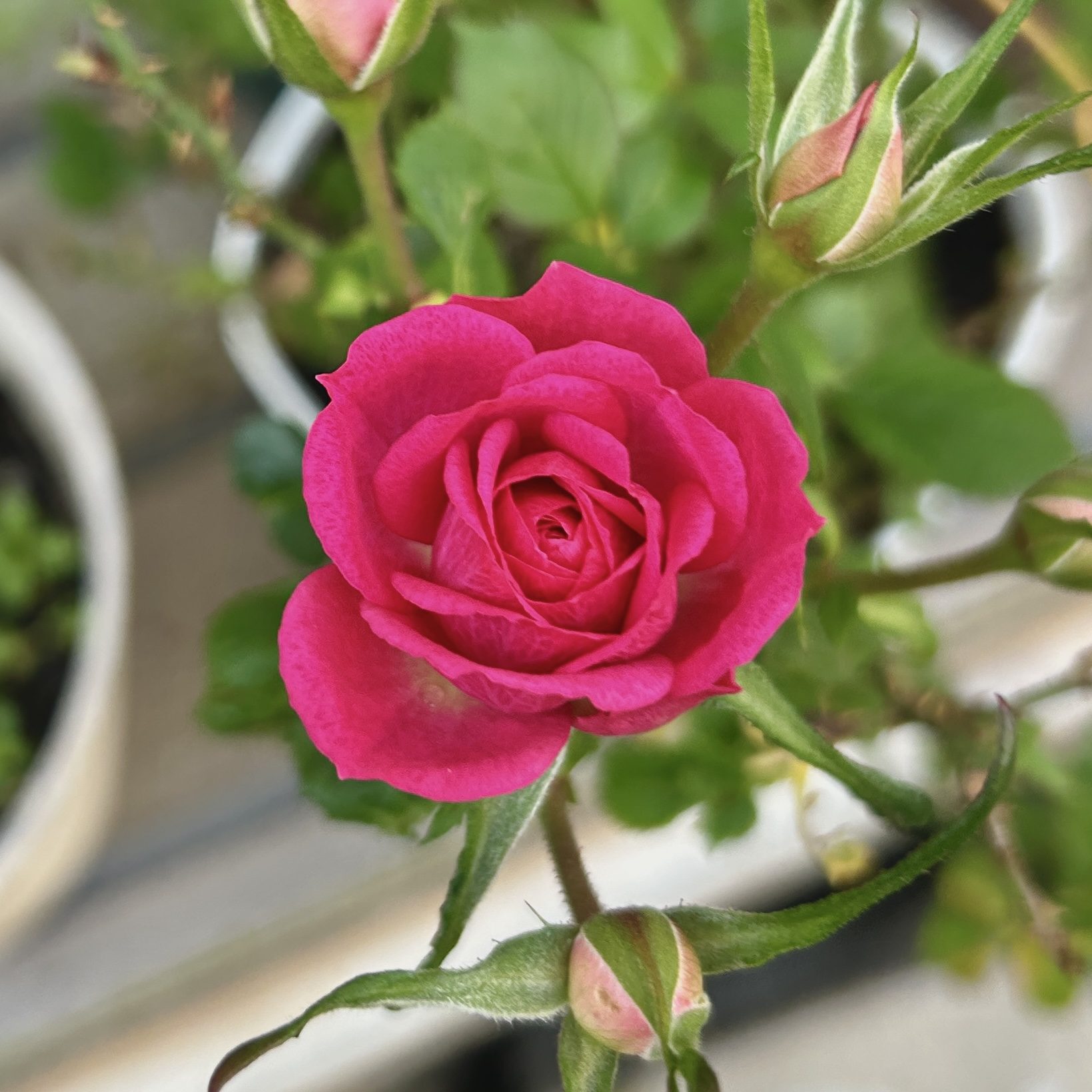 小さく暮らすアイデアノート